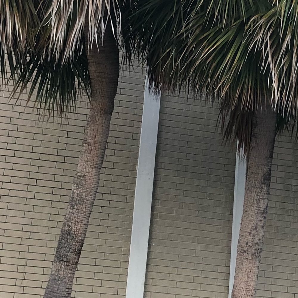 Meet your Posher, Kennedy